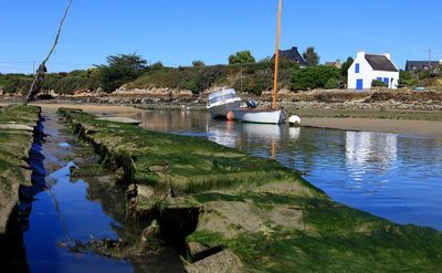 Location saisonnière acceptant les chiens Morbihan