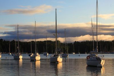 lorient